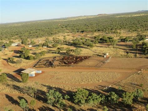 Pics: See the Australian cattle station that sold for $13 million ...