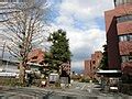 File:Nihon University Mishima Campus.JPG - Wikimedia Commons