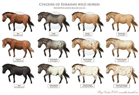 Wild Horses by Eurwentala on DeviantArt