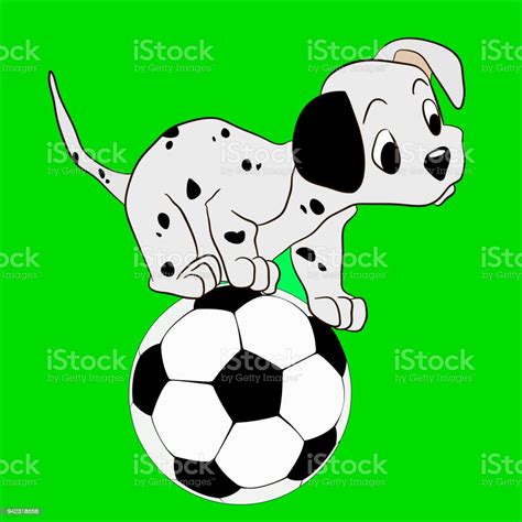 Cute Funny Dog Is Playing Football Pets And Ball Isolated On White ...