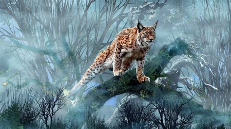 Download Snow Winter Animal Lynx HD Wallpaper