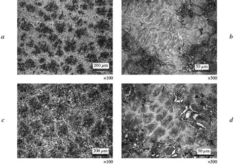 Gray cast iron microstructure with continuous phosphide eutectic... | Download Scientific Diagram