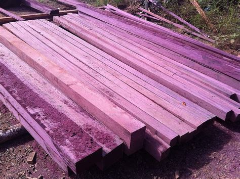 Purple Heart Wood Plank at Rs 2100/cubic feet | Heart Wood in Panchkula | ID: 23686969673