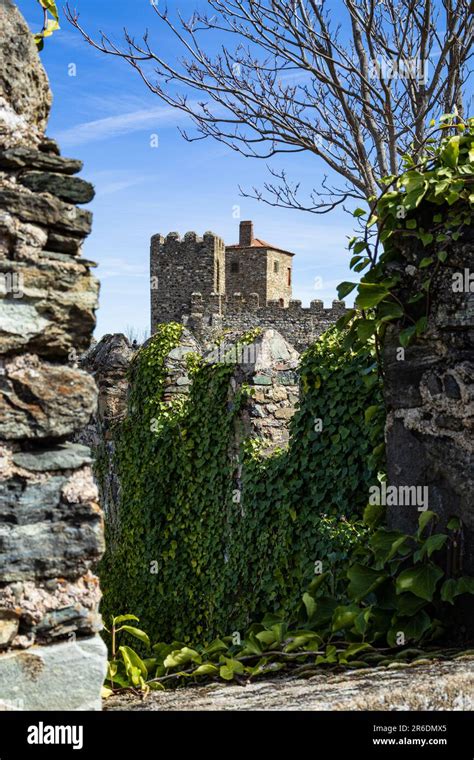 Towers of the castle of Braganca, castle walls covered with plants Stock Photo - Alamy