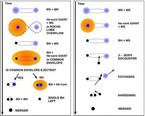 Frontiers | Binary Black Hole Mergers: Formation and Populations