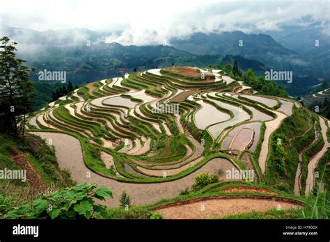 The rice terraces in the Jiabang area, in Guizhou province, China Stock ...