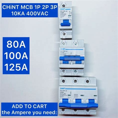 Chint MCB Main 1 Pole / 2 Pole / 3 Pole 80A / 100A / 125A | Lazada PH