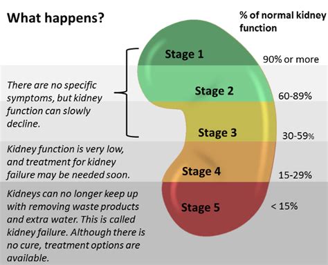 Understanding Kidney Disease