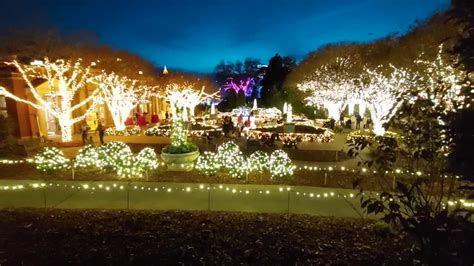 Atlanta Botanical Garden’s holiday light show ‘shines’ brighter than ...