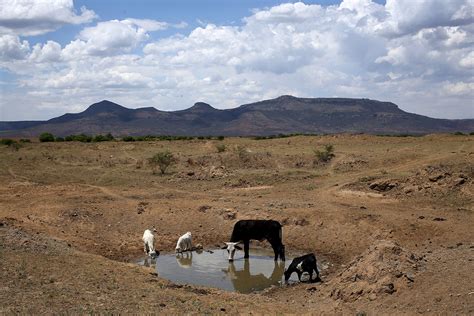 South Africa: Crops fail and people die from heatstroke as worst ...