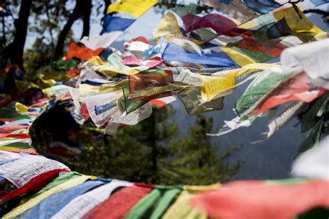 Tigers & Legend in Bhutan | Animal Planet