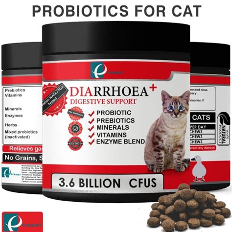 Cat Probiotics Australia | Probiotics For Cats With Diarrhea