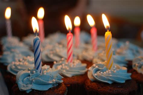 Free Images : blur, food, colourful, colorful, cupcake, dessert, birthday cake, close up ...