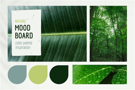 Nature Inspiration with Green Forest Online Mood Board Template - VistaCreate