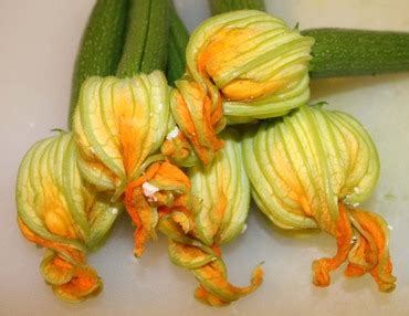 thepassionatecook: Stuffed courgette flowers drizzled with honey