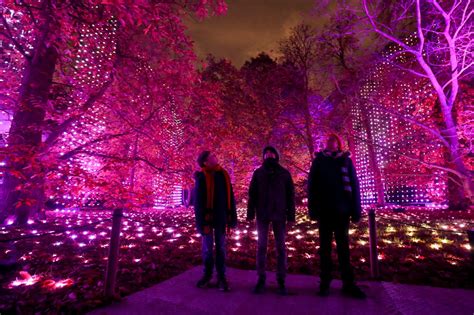 In Pictures: Spectacular Christmas light show at Kew Gardens | Shropshire Star