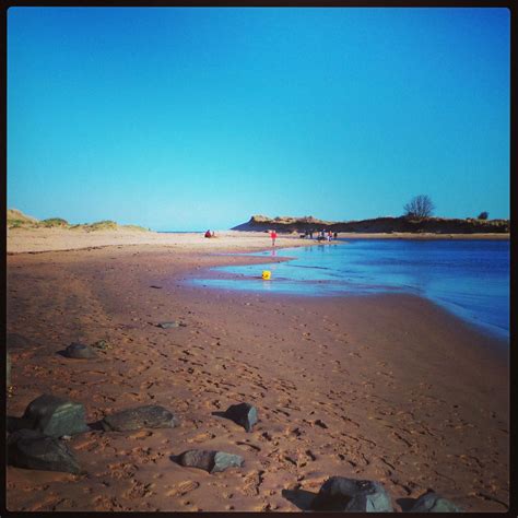 Alnmouth beach | Day trips, Beach, Trip