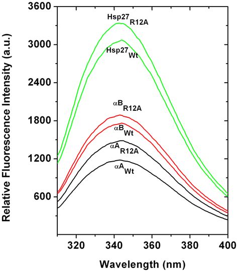 Intrinsic tryptophan fluorescence spectra of wild type and mutant... | Download Scientific Diagram