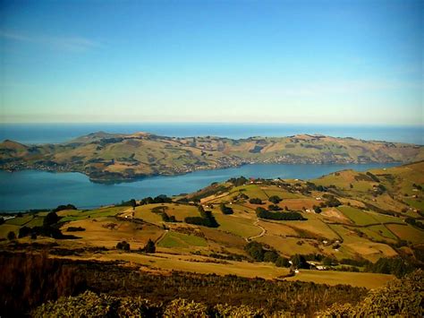 Otago Peninsula and Harbour 2 Free Photo Download | FreeImages