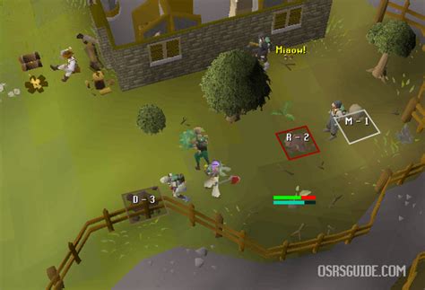 OSRS Forestry Guide - Everything You Need to Know - OSRS Guide