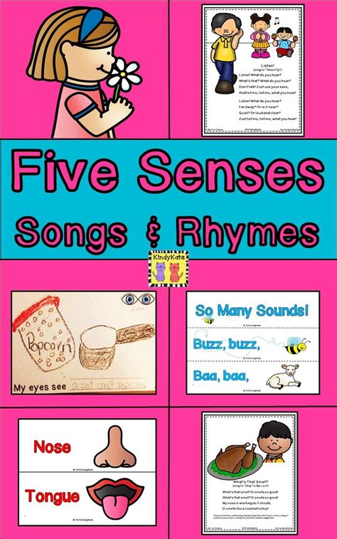 Five Senses Songs and Rhymes | Rhymes, Teaching life skills, Life ...