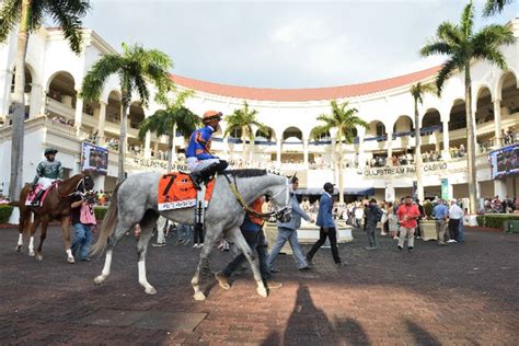 The Florida Derby: Seven Decades of Horse Racing at Gulfstream Park