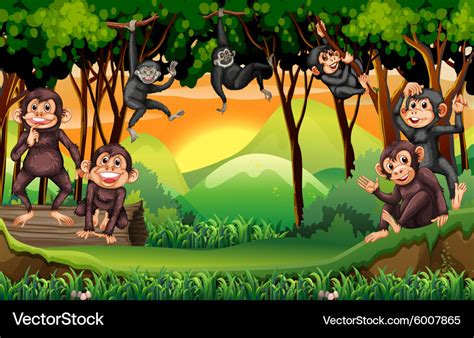 Monkey Jungle Background