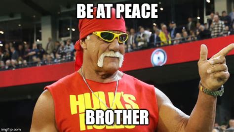 Hulk Hogan brother - Imgflip