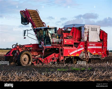 Self-propelled Grimme potato harvester during potato harvesting, Luffness Mains farm, East ...