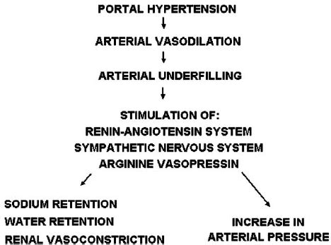 Peripheral Arterial Vasodilation Hypothesis. | Download Scientific Diagram