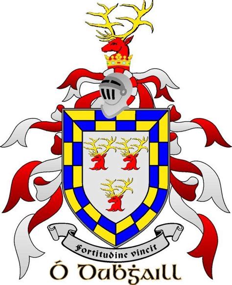 Popular irish surnames their origin and coat of arms – Artofit