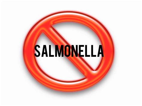 How to Prevent Salmonella Poisoning (Salmonellosis): 1 Step