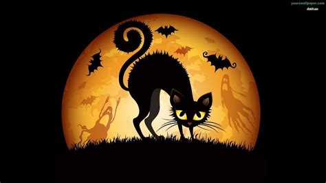 Black Cat Halloween Wallpapers - Top Free Black Cat Halloween Backgrounds - WallpaperAccess