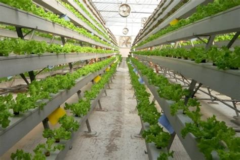 Modern sustainable farming techniques