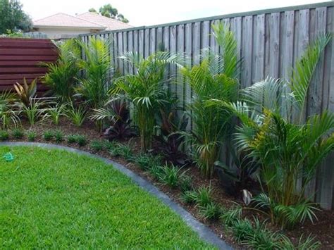 5 of the best hedges for creating privacy - hipages.com.au