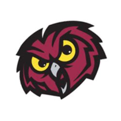 Temple owls Logos