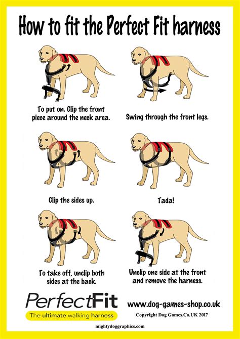 Perfect Fit Dog Harness Washing Instructions at Jane Hawkins blog