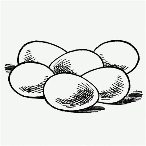 Egg Drawing at GetDrawings | Free download