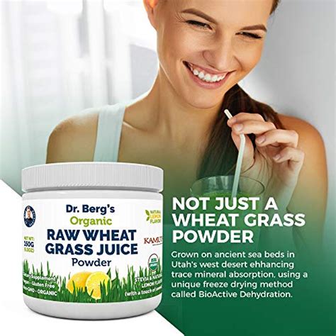 Dr. Berg's Organic Raw Wheat Grass Juice Powder with Kamut - Natural Lemon Flavor - Rich in ...