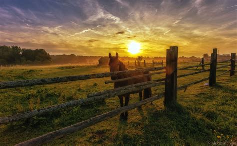 Country #sunsets | Country sunset, Cool landscapes, Nature photos
