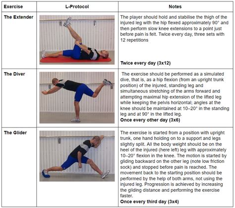 Hamstring Strain Recovery Exercises