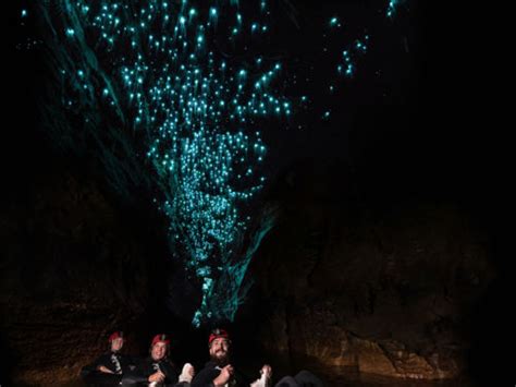 Exploring the Enchanting World of Glow Worms in Caves – Hello Kids Fun