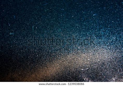 4,639 Krill Sea Images, Stock Photos & Vectors | Shutterstock