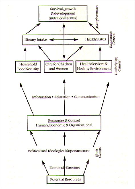 UNDERLYING CAUSES OF MALNUTRITION | Download Scientific Diagram