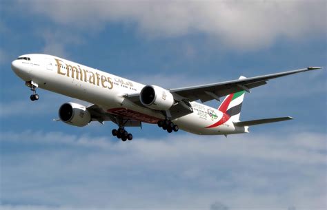 Emirates Airlines Pet Travel Guide: Health Requirements, Breed Restrictions, Insurance, and More ...