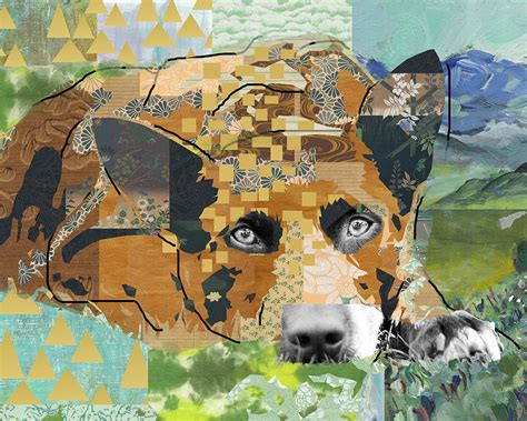 Dog Dreaming Collage Mixed Media by Claudia Schoen | Fine Art America