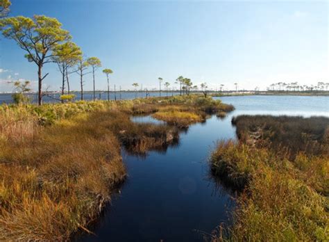 Bon Secour National Wildlife Refuge | Gulf Shores & Orange Beach