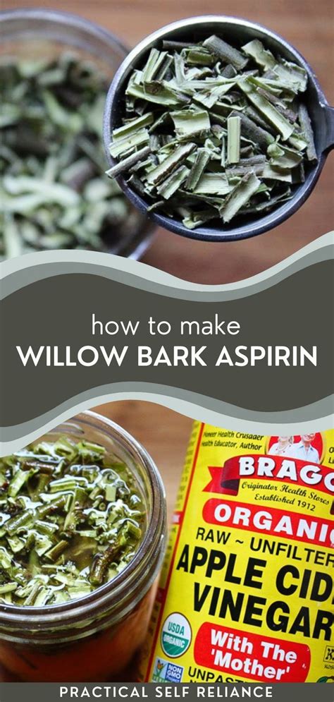 How to Make Willow Bark Aspirin | Herbal remedies recipes, Herbs for health, Medical herbs