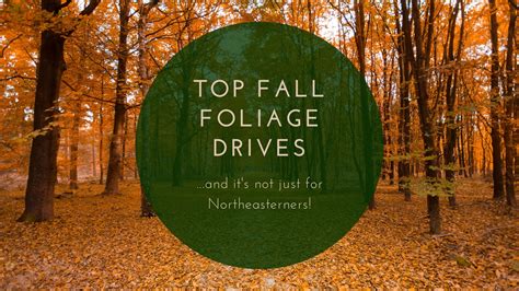 Top Fall Foliage drives for every region of the United States