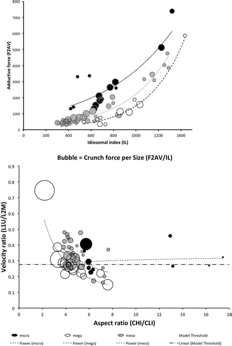 Similar scaling relationships fractionated by degree of cephalisation.... | Download Scientific ...